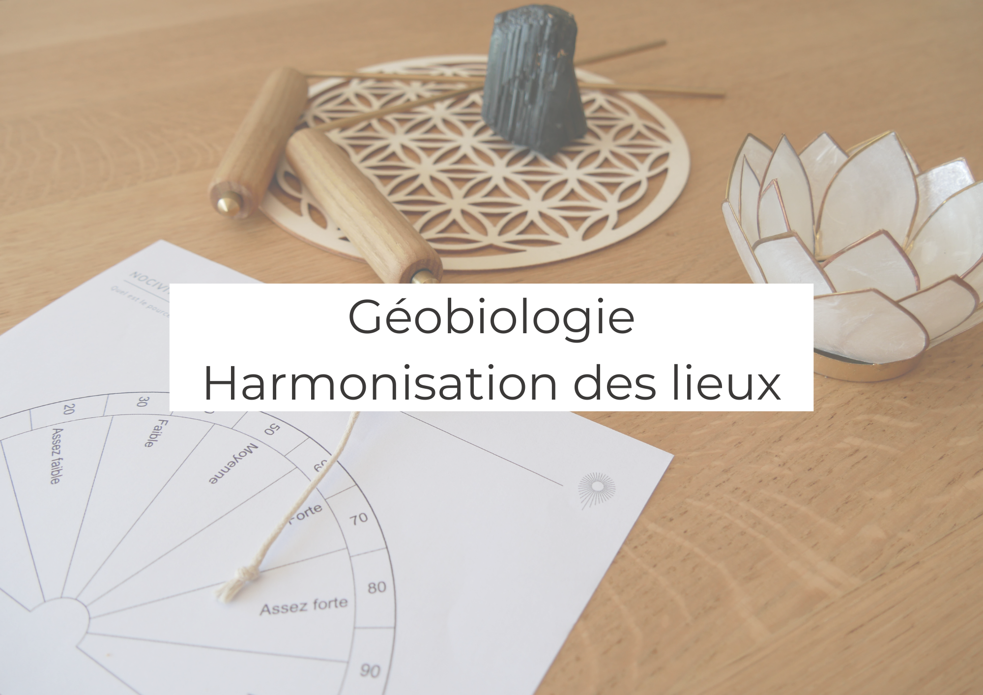 L’attribut alt de cette image est vide, son nom de fichier est Geobiologie-1.png.